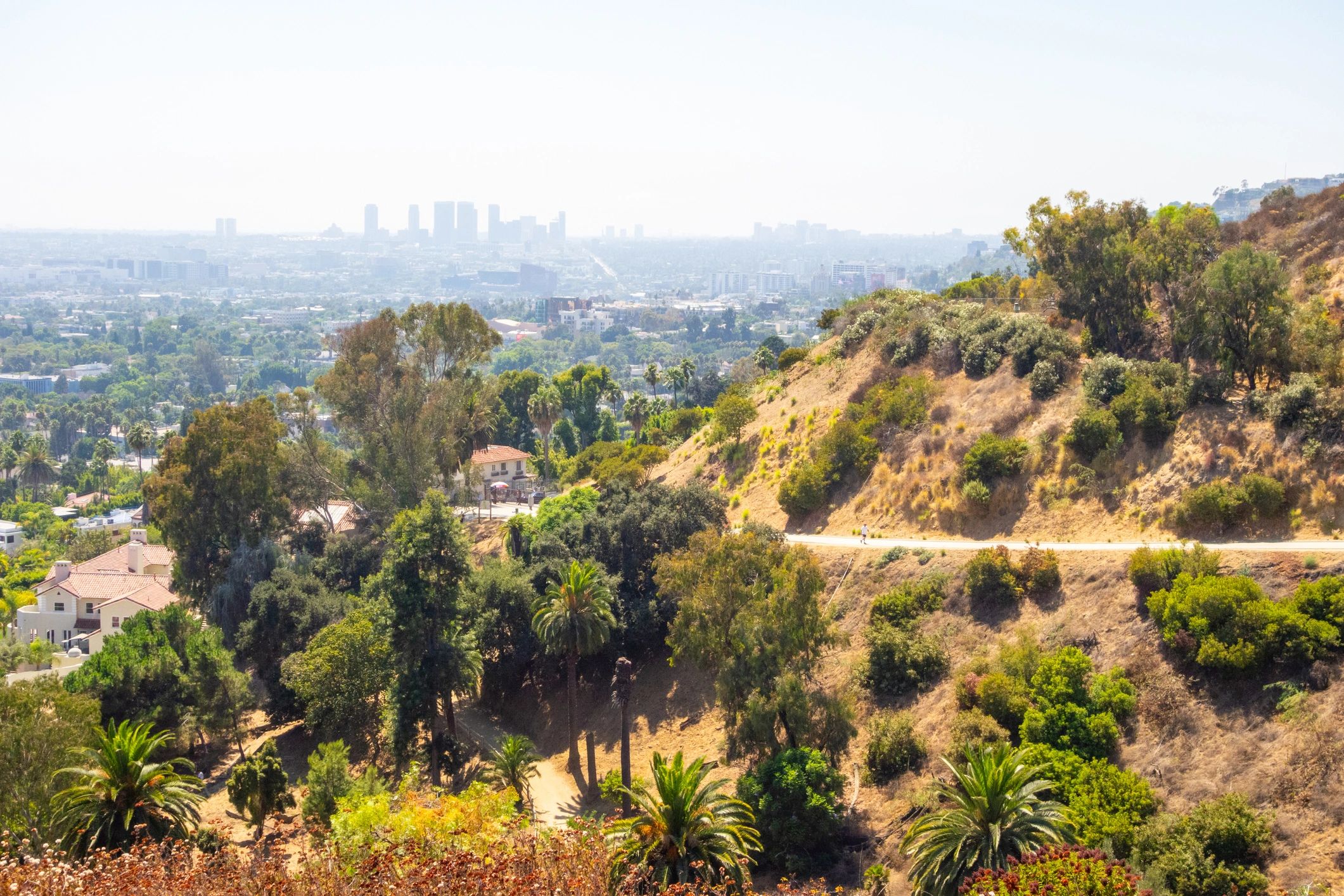 Los Angeles hillside view