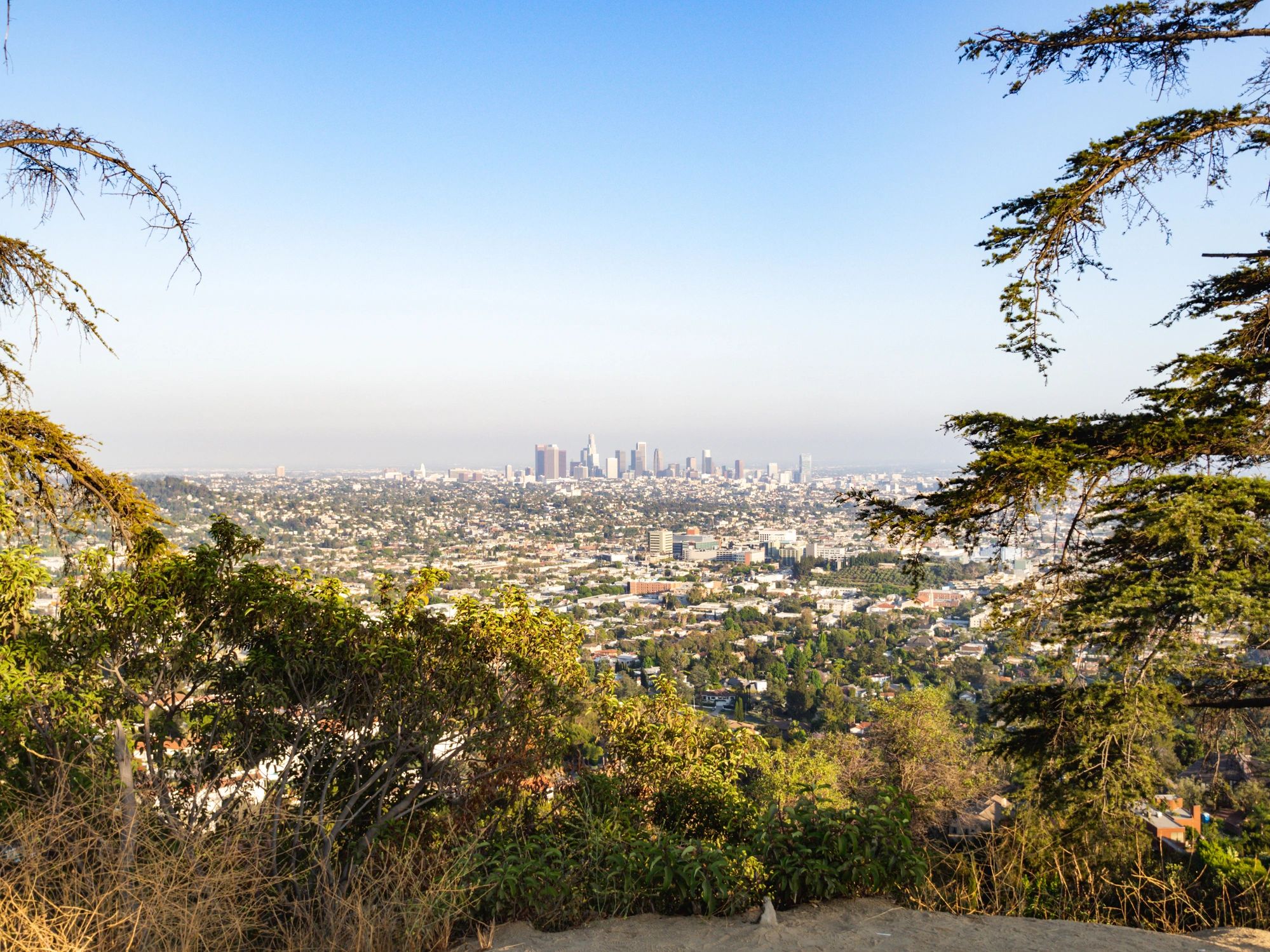 Scenic Los Angeles hillside and skyline